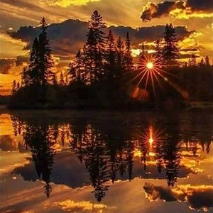 Meet your Posher, Sanaja